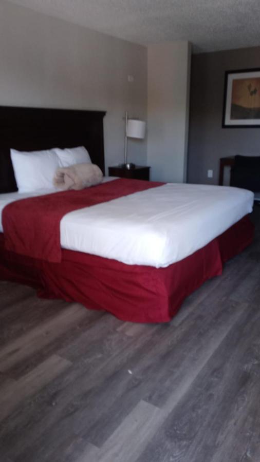 La Casa Inn New Port Richey Gulf Beach Us-19 Екстериор снимка